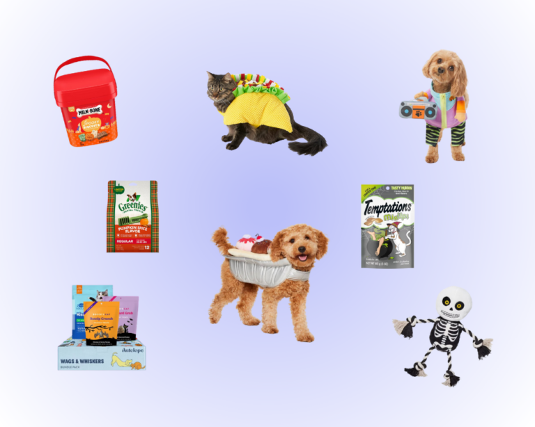 Collage of items in Chewy Halloween shopping guide